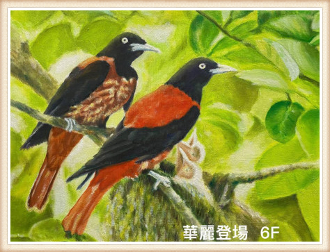 我是 layouts\homepage\single.htmlt其中blog post程式